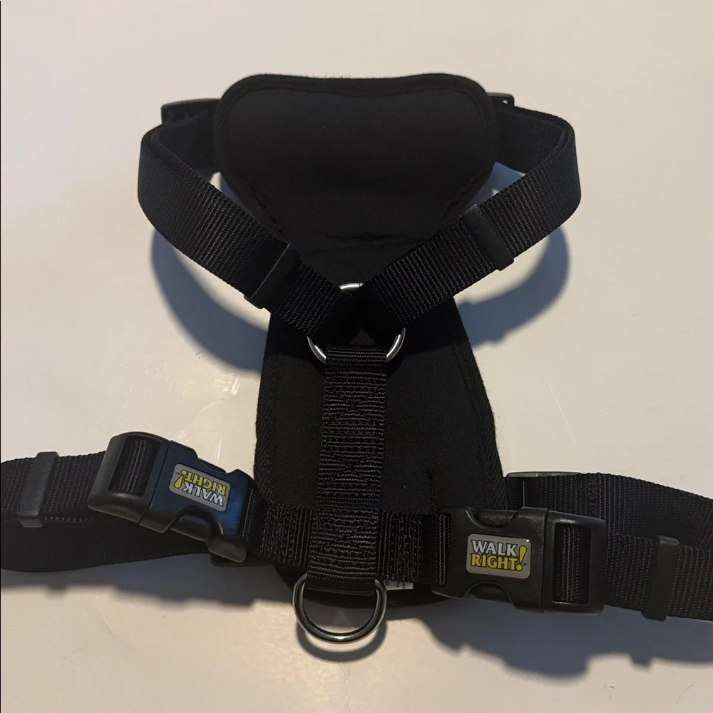 Coastal Walk Right! Front Connect Harness Large- black